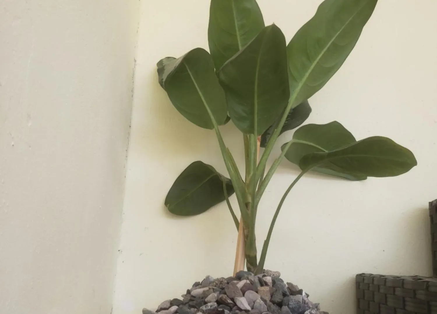 Cozy Duplex Apartment Santo Domingo